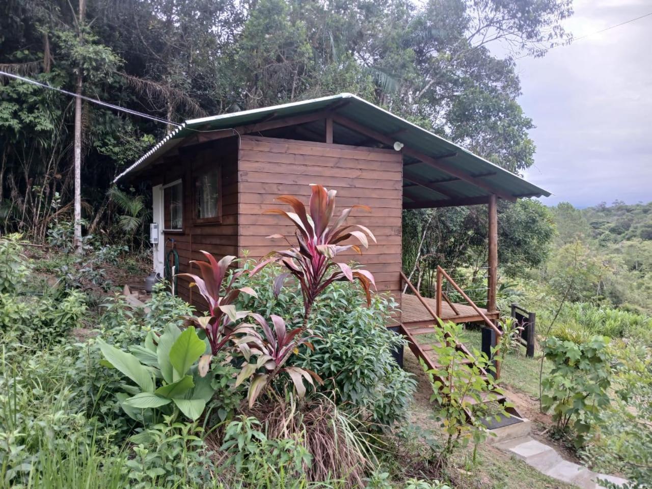 Cabana Manaca Da Serra Morretes Luaran gambar